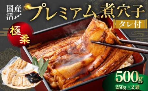 飯田商店 国産活〆 プレミアム 煮穴子 500g（ 250g×2袋 ） タレ（50g）付