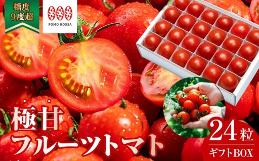 【4月末まで】糖度9度超えのフルーツトマト！贈答用にもおすすめです