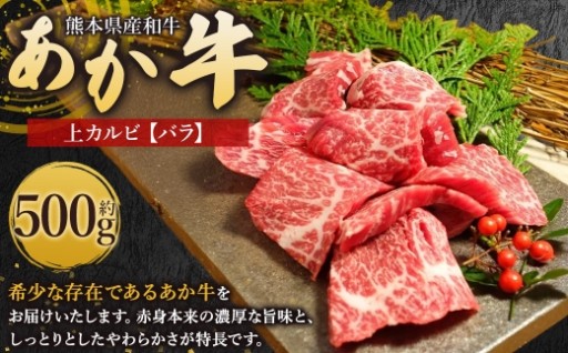 熊本県産和牛 「 あか牛 」 焼肉に絶品 上カルビ ( バラ ) 約500g 【 上 】