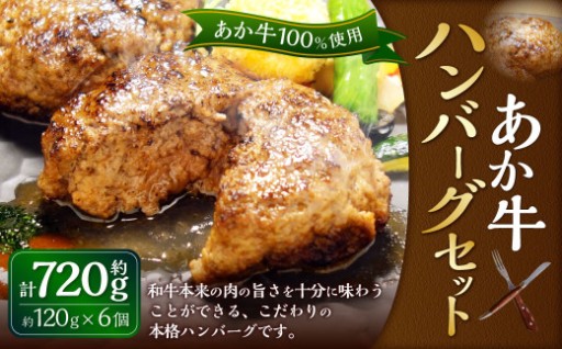 あか牛100％ ハンバーグセット（あか牛ハンバーグ 120g×6個）合計720g