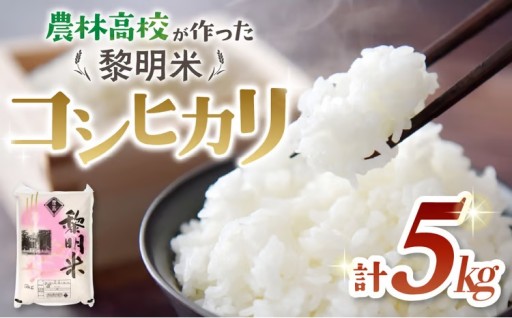 令和7年産 コシヒカリ5kg 農林高校黎明米