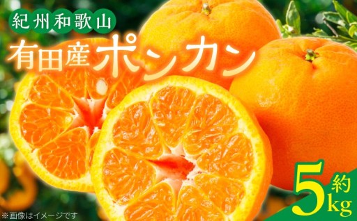 【ジューシーな果肉とまろやかな果汁がクセになる柑橘です】