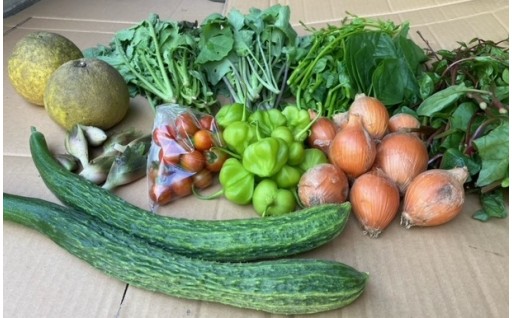 4月9日は何の日…🥬🍅🍆🥦🧅🍊