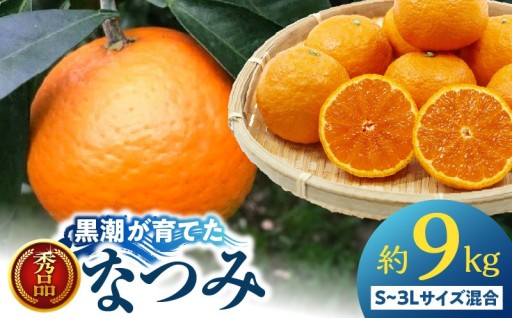 【温暖な気候と黒潮が育てた真心いっぱいカラ（なつみ）】