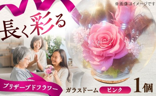 ＼母の日におすすめ／美しいお花を長く楽しむ。