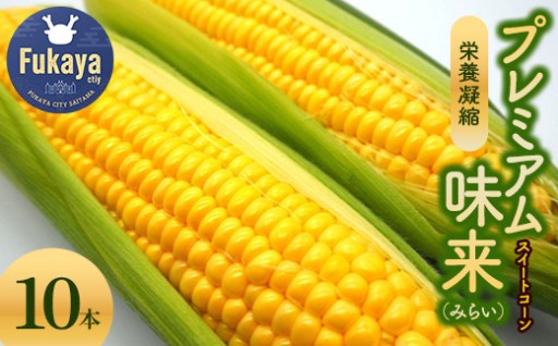 ＜先行予約＞農家直送 プレミアム味来 10本