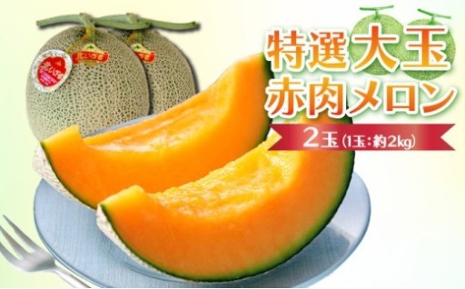 【先行予約】特選大玉『赤肉メロン』！
