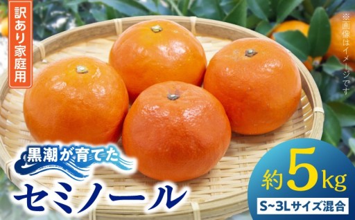 【あふれる果汁、濃厚すぎる一滴】