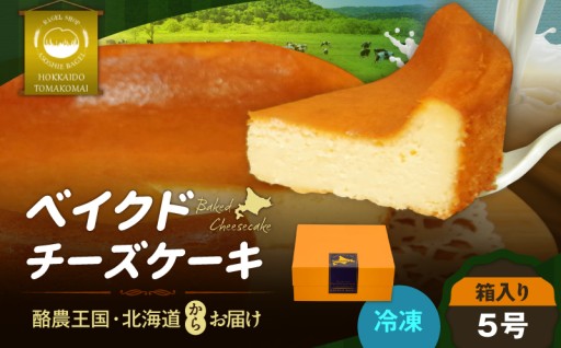 極上ベイクドチーズケーキが新登場🎊