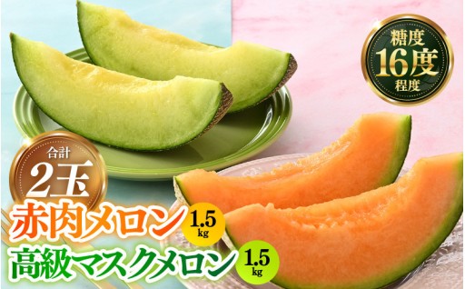 【農家直送】一度は食べてほしい！とろける甘み🍈✨