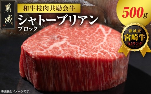 都城市より～【和牛枝肉共励会牛】(A5)宮崎牛シャトーブリアンブロック500g