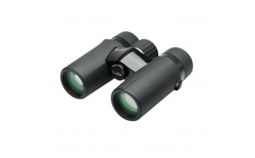 推し活・ライブにもおすすめ！ケンコー 双眼鏡 ウルトラビューEX コンパクト 