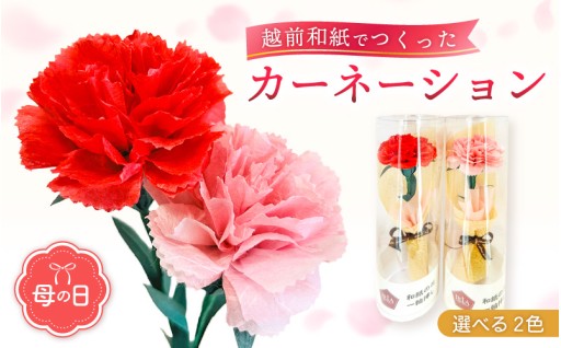 【母の日💐】ずっと枯れない越前和紙のお花ギフト✨