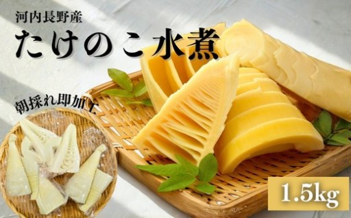  ★朝採れを即加工★国産 たけのこ 水煮 1.5kg