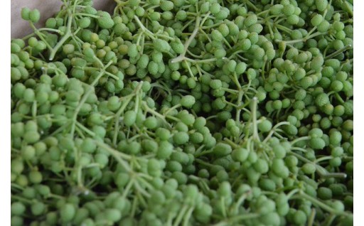 青実山椒（枝付）初期物