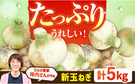 【今だけのご馳走！】白石産・新玉ねぎ5kg
