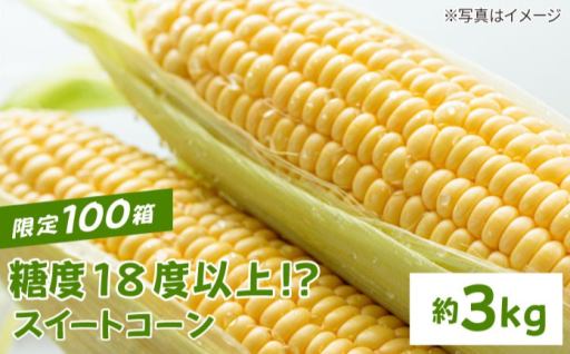【旬を味わう】幸せスイートコーン3kg