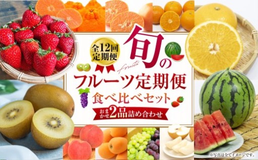 【全12回定期便】旬のフルーツ 定期便 食べ比べ セット