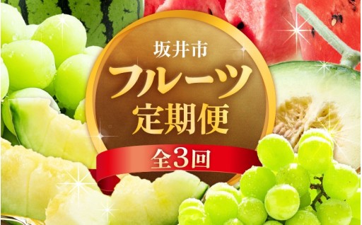 【お試し】定期便フルーツ三昧！旬の味覚をお届け✨