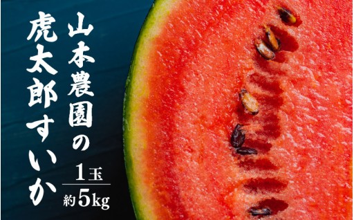 【毎年大人気🍉】スーパーでは買えない格別の味わい