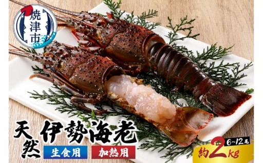 b100-035　伊勢海老 三昧セットC 刺身用＋焼物用