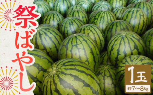 【植木産】熊本スイカ (祭ばやし) 7～8kg前後 【2026年5月下旬～6月上旬迄順次発送予定】