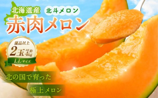 ＜先行受付＞北海道産 北斗メロン「赤肉メロン」〈LLサイズ〉2玉（優品以上／2玉で約4kg）