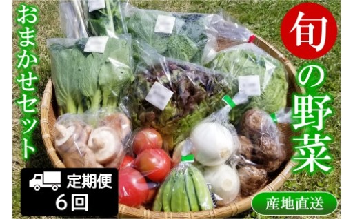 🥕📦人気の道の駅から届く旬野菜セット✨毎月わくわく定期便🍆🍅