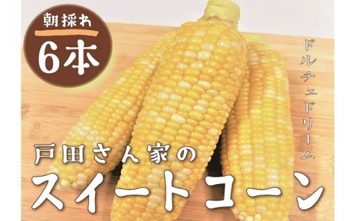 【期間限定】≪数量限定≫ 戸田さんの朝採れ　スイートコーン 