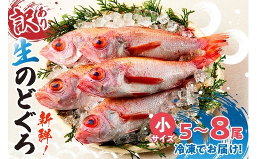🐟上品な旨みが広がる下処理済み『のどぐろ』をお届け！✨