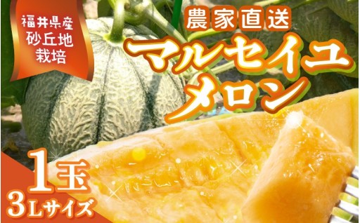 【先行予約🍈】極甘でジューシー！とろける味わい✨