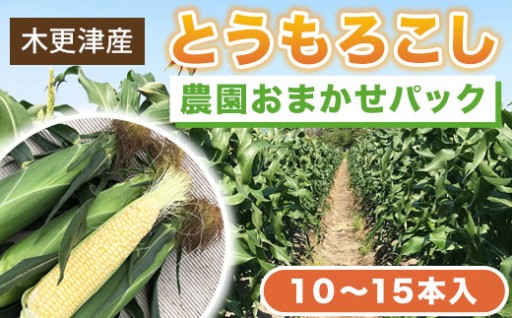 【先行予約】木更津産とうもろこし　農園おまかせパック約5キロ（１０～１５本入） 