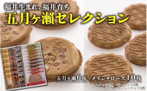 【福井の銘菓】不動の人気✨素朴で飽きのこない味🌿