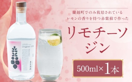 リモチーソジン 500mL