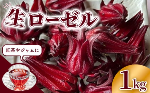 【受付再開】宇地原農園の生ローゼル 約１キロ