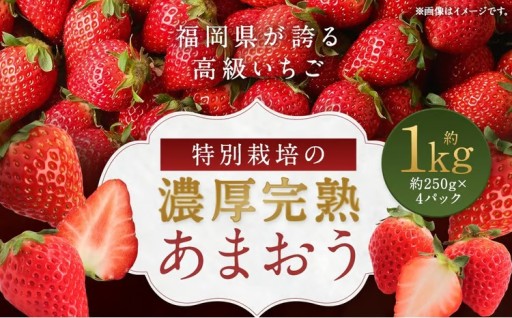 特別栽培 の 濃厚 完熟 あまおう 約1kg 約250g×4パック