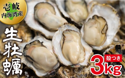 ＼4月末まで！／ぷりっぷり！殻つき生牡蠣3kg