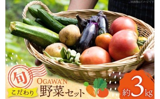 旬を味わう新鮮野菜!様々な料理が楽しめます!