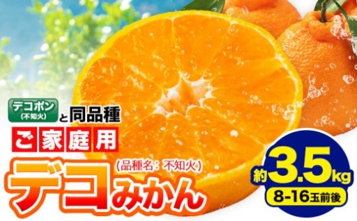 ＼チョイス限定／熊本のデコみかん🍊