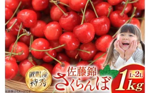 さくらんぼの代名詞ともいえる人気の佐藤錦！