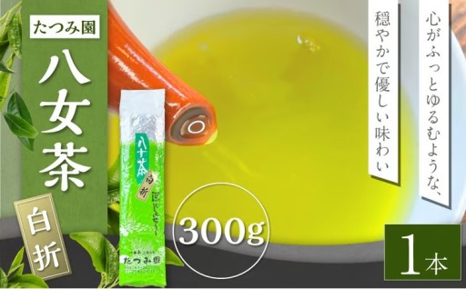 八女茶 たつみ園白折 300g 1本