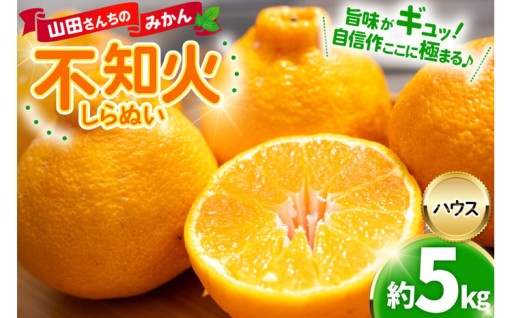 山田さんちのみかん！濃厚不知火