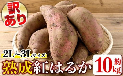 《訳あり》熟成紅はるか(約10kg・2L～3Lサイズ混合)