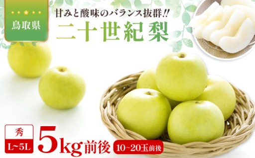 二十世紀梨 秀5kg前後