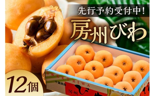 房州びわ(露地)12粒入2Lサイズ以上1箱