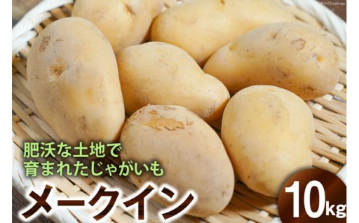 ふかふかの土壌で育ったじゃがいも