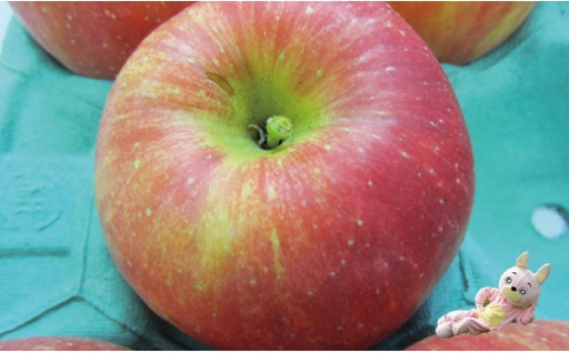 酸味と甘味のバランスよく蜜たっぷり!