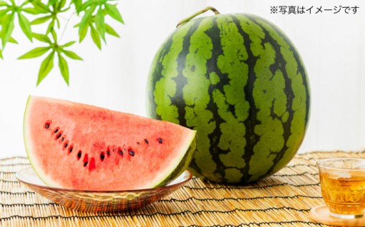熊本県産の甘みの高い大玉スイカを旬の時期にお届け！