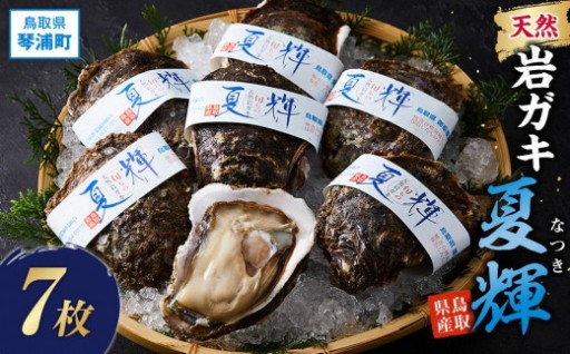 【先行予約 2026年6月以降発送】天然 岩ガキ ( 夏輝 ) 7 枚