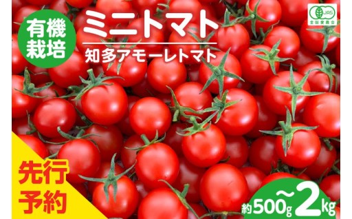 ★先行予約★有機栽培ミニトマト🍅知多アモーレトマト🍅【選べる容量500g～約2kg】